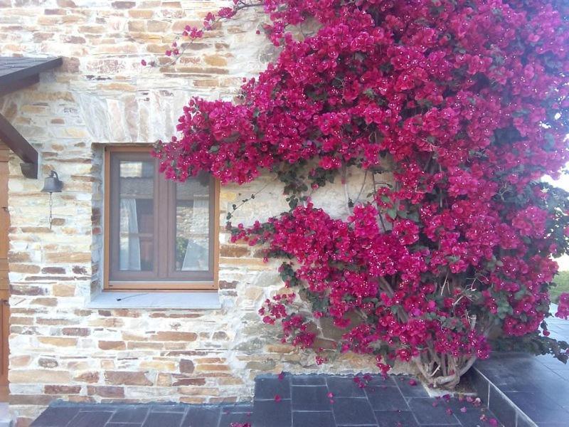 Casa Crisanta Villa Lomba Exterior photo